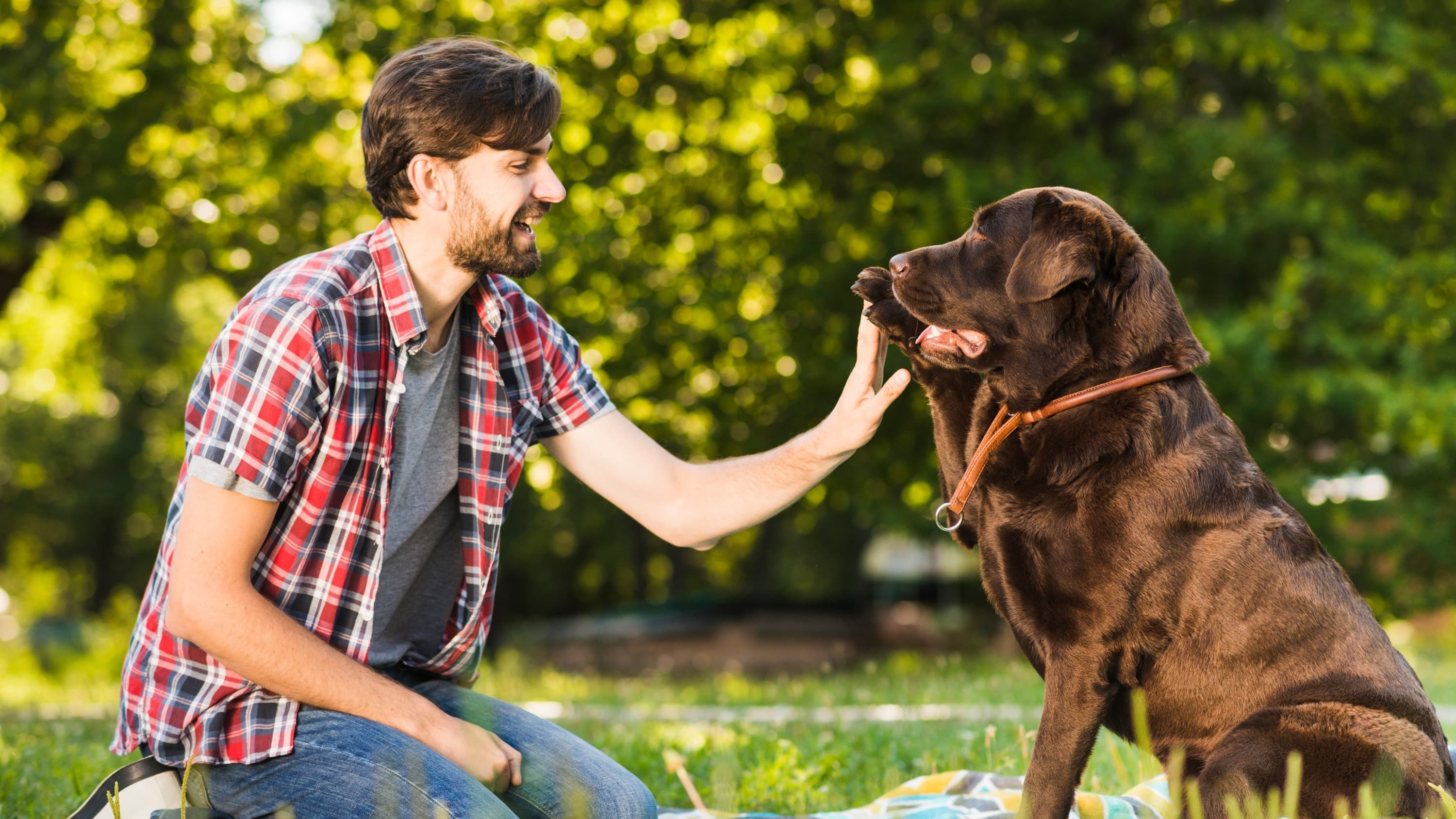 Boise Pet Sitters