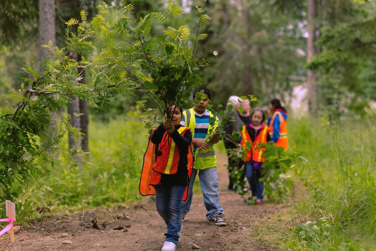 Anchorage Park Foundation