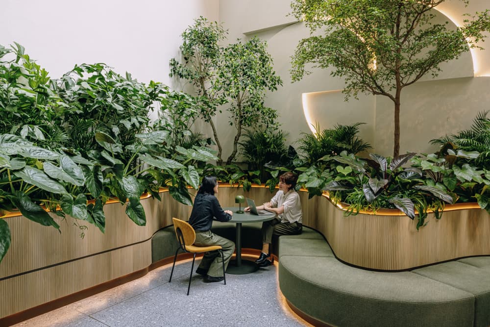 Plant Designs