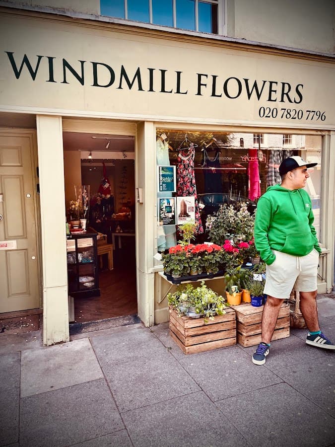 Windmill Flowers