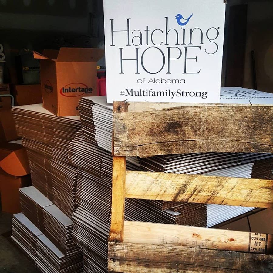 Hatching Hope