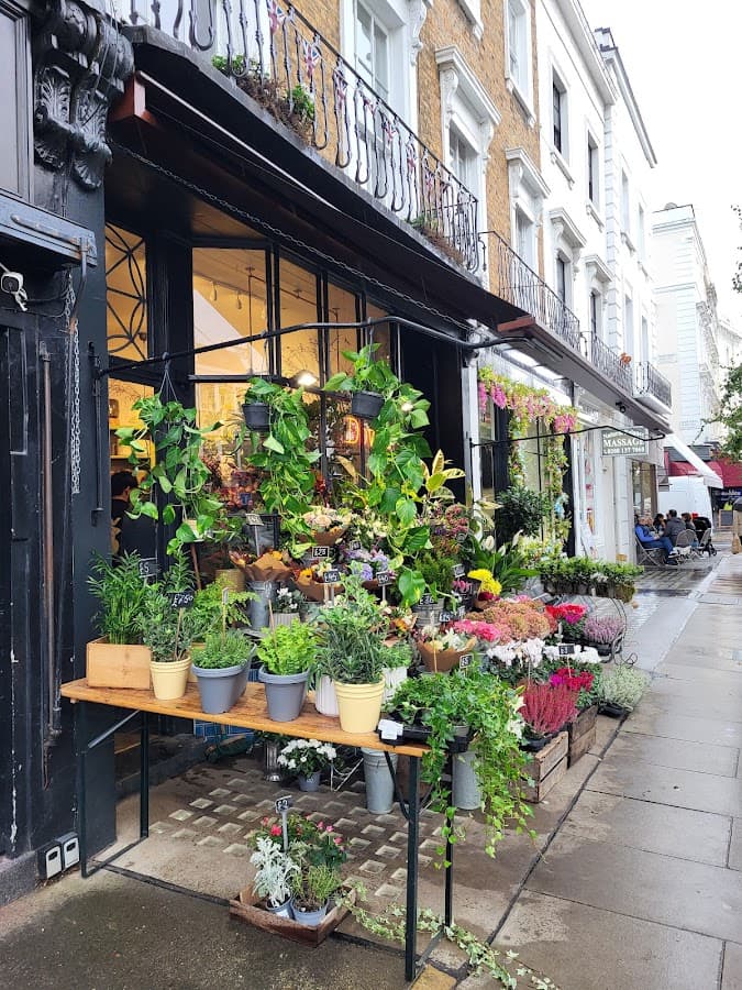 Dovers Flowers