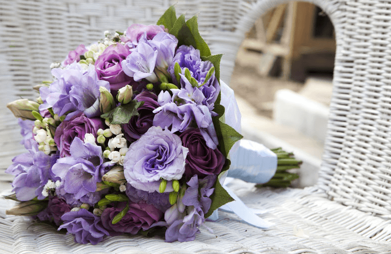 Pimlico Flowers